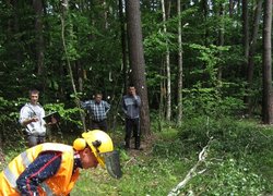 Лісове багатоборство 2013